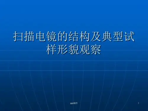 扫描电镜的结构及典型试样形貌观察  ppt课件