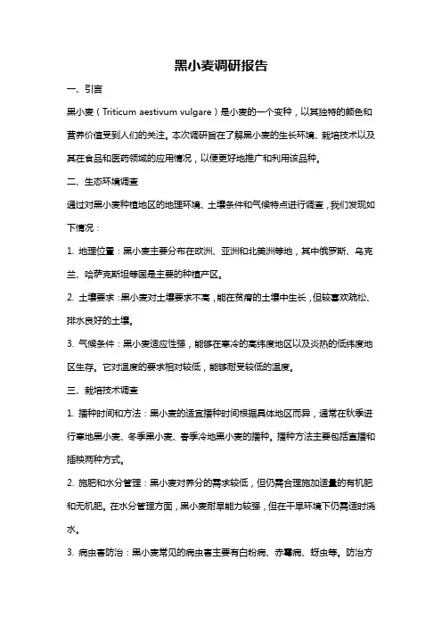 黑小麦调研报告