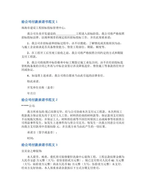 给公司付款承诺书范文8篇