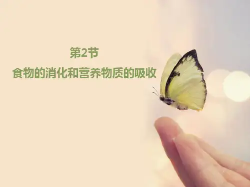 《食物的消化和营养物质的吸收》PPT教学课件教学课件