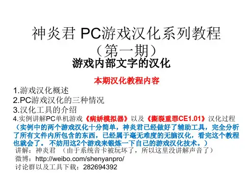 电脑游戏汉化教程