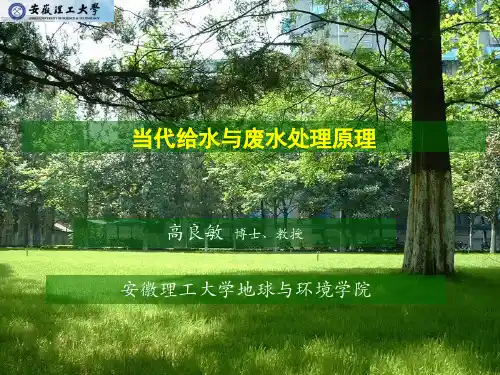 【2019年整理】当代给水与废水处理原理