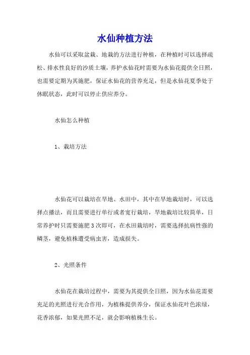 水仙种植方法