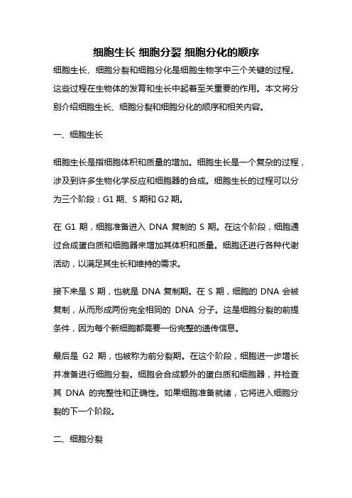 细胞生长 细胞分裂 细胞分化的顺序