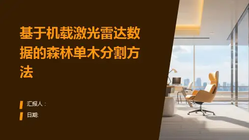 基于机载激光雷达数据的森林单木分割方法