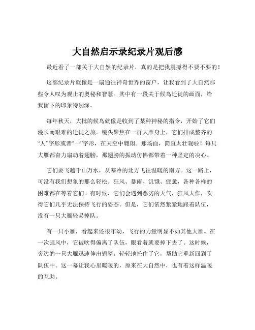 大自然启示录纪录片观后感