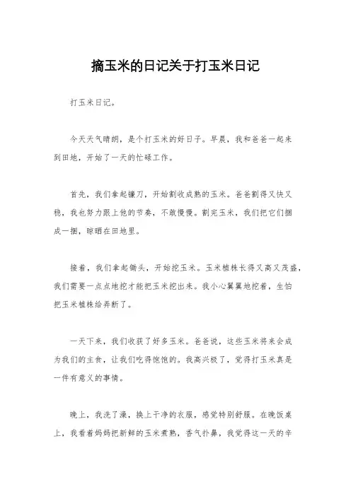 摘玉米的日记关于打玉米日记