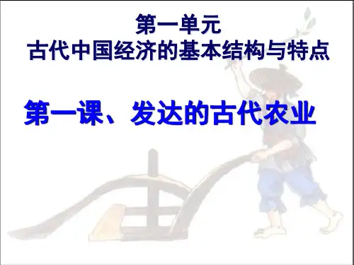 发达的古代农业PPT实用课件25