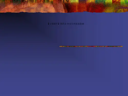 【生物课件】第四章 废水生物脱氮除磷