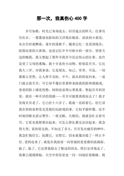 [作文范文]那一次,我真伤心400字