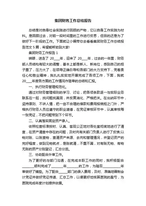 集团财务工作总结报告
