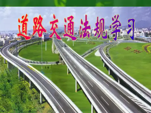 《道路交通安全法》课件