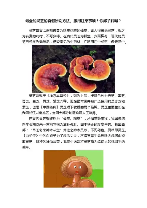 最全的灵芝的真假辨别方法、服用注意事项！你都了解吗？