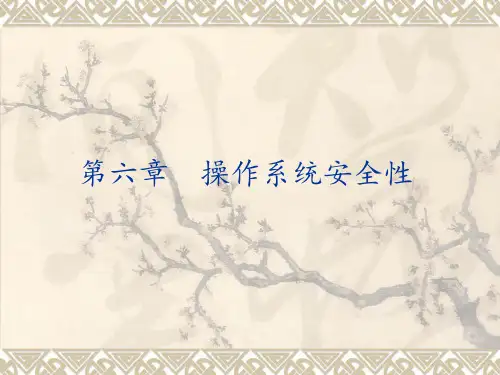 操作系统原理第六章操作系统安全