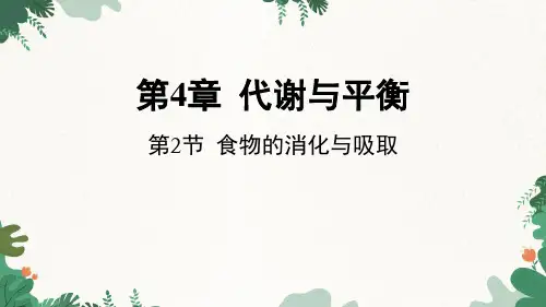 第2节食物的消化与吸收(PPT课件(初中科学)56张)