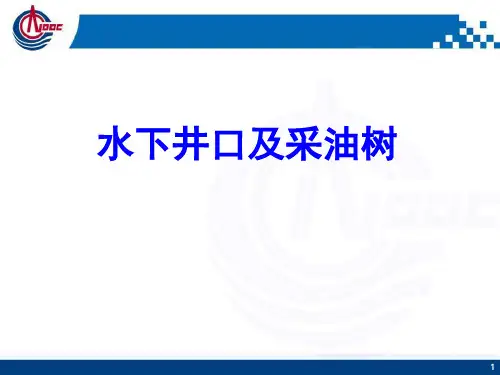水下井口及采油树讲义PPT