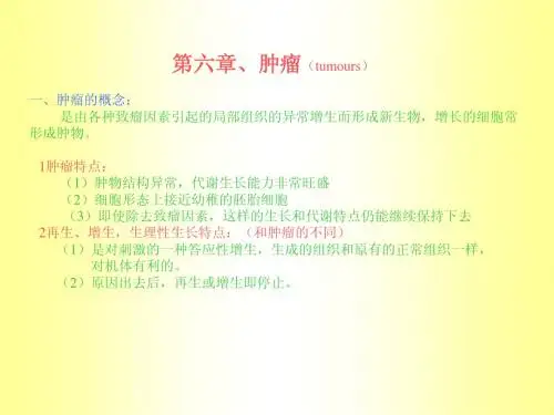 鱼类的肿瘤