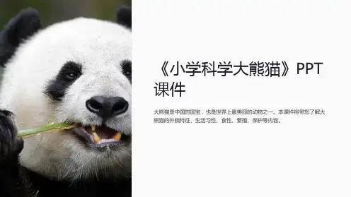 《小学科学大熊猫》课件