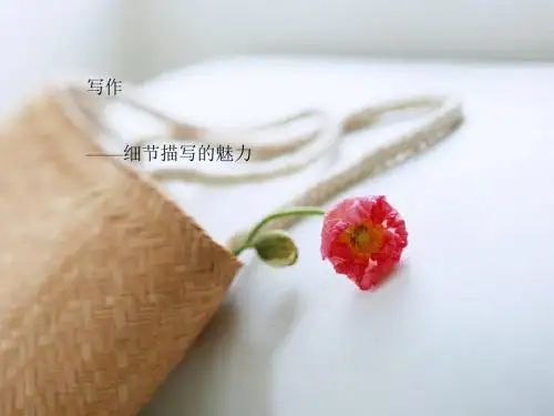 初中作文指导：《写作——细节描写的魅力》PPT