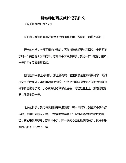 班级种植西瓜成长记录作文