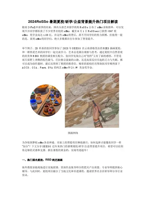 2024RoSSo暑期夏校研学公益背景提升热门项目解读