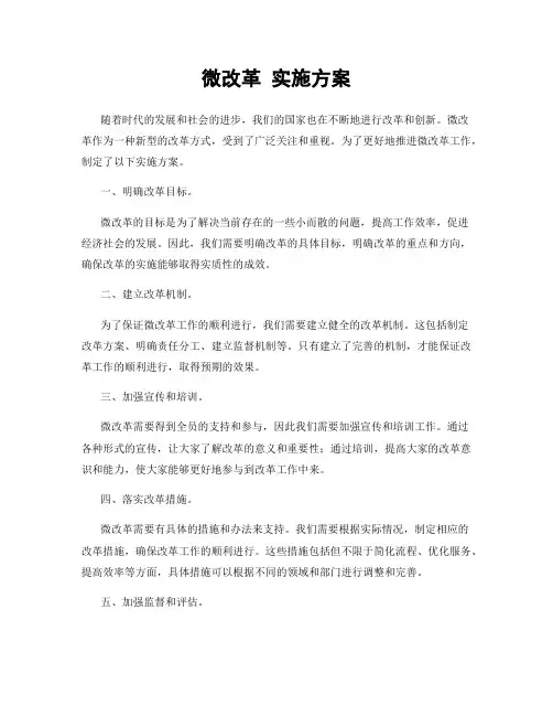 微改革 实施方案