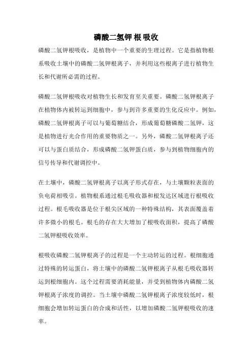 磷酸二氢钾 根 吸收