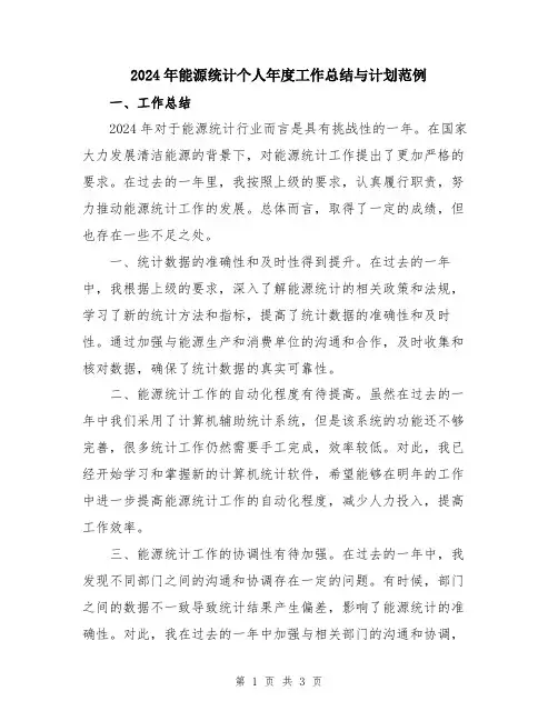 2024年能源统计个人年度工作总结与计划范例