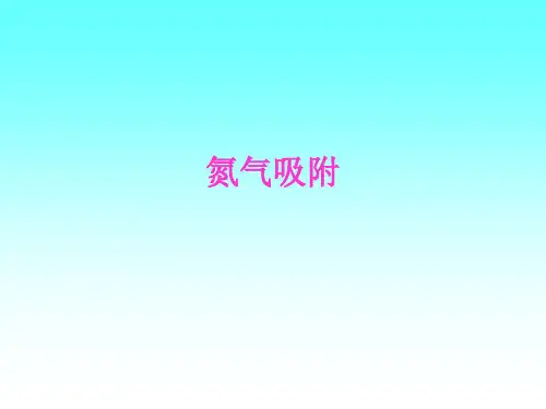 氮气吸附-2