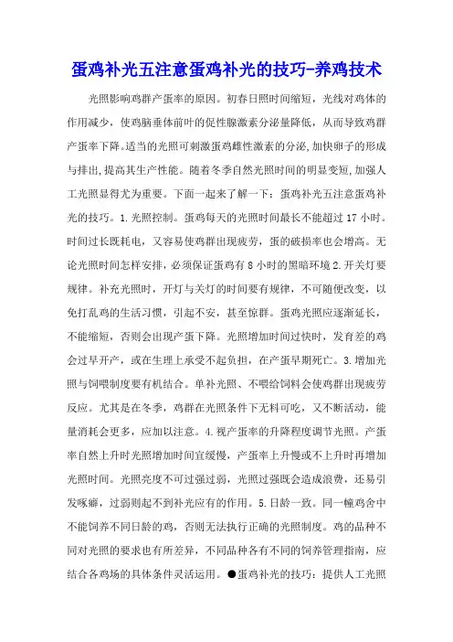 蛋鸡补光五注意 蛋鸡补光的技巧 - 养鸡技术