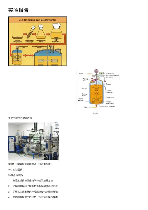 实验报告——精选推荐