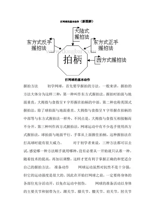 网球的基本动作--握拍