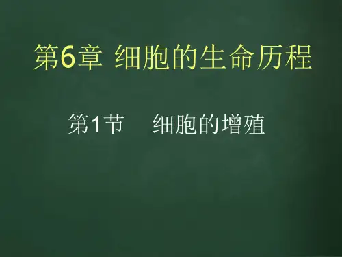 6.1细胞的增殖 课件(新人教版必修1)