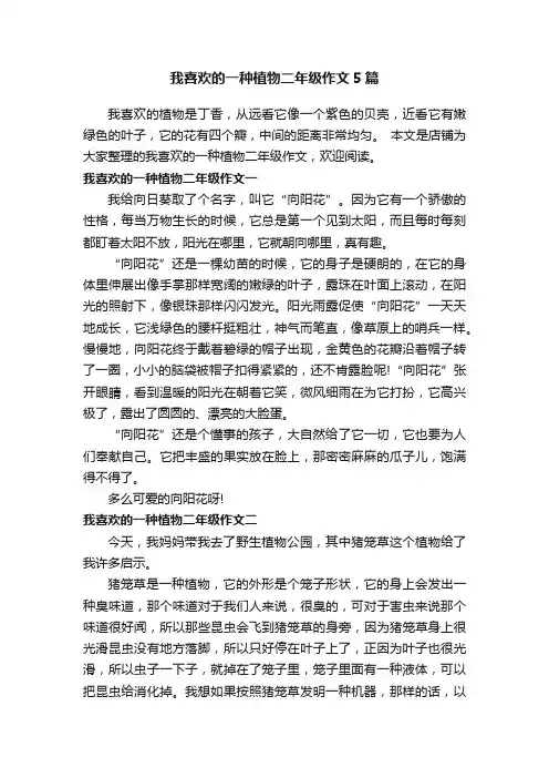 我喜欢的一种植物二年级作文5篇