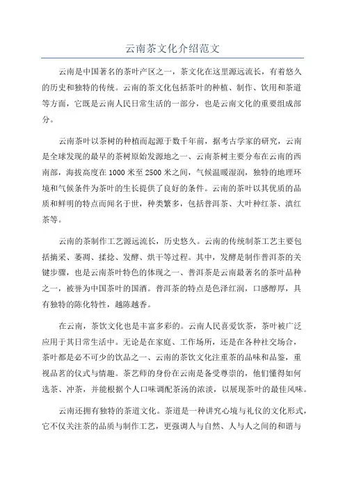 云南茶文化介绍范文
