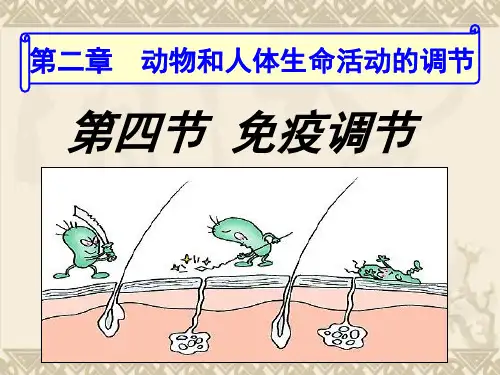 生物必修Ⅲ人教新课标2.4免疫调节课件(共46张)