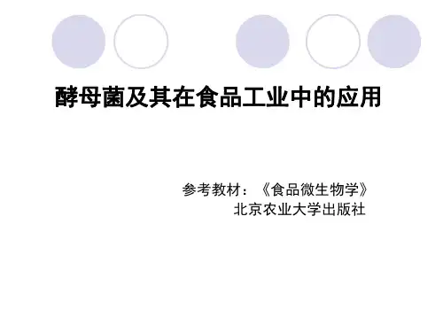 酵母菌与在食品中的应用