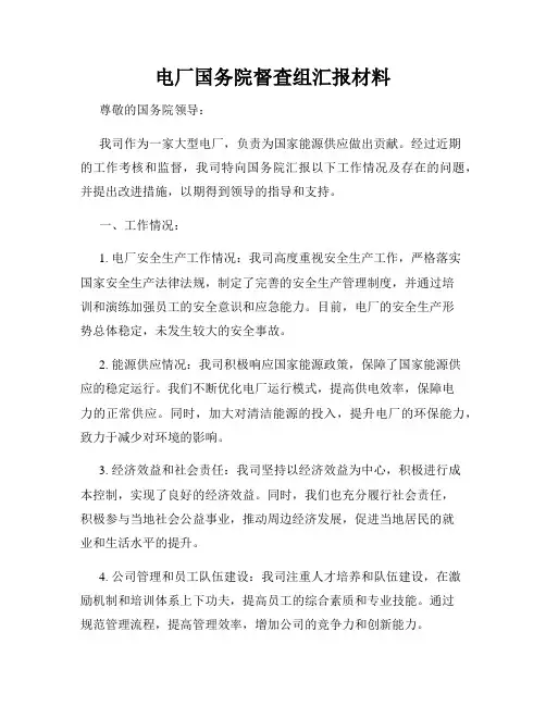电厂国务院督查组汇报材料