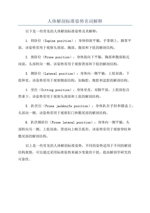 人体解剖标准姿势名词解释