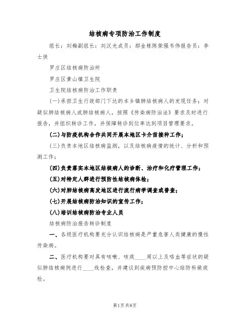 结核病专项防治工作制度(4篇)