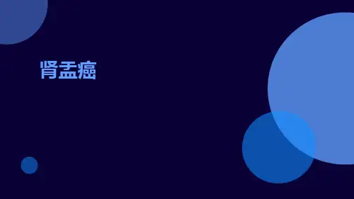 (医学课件)肾盂癌