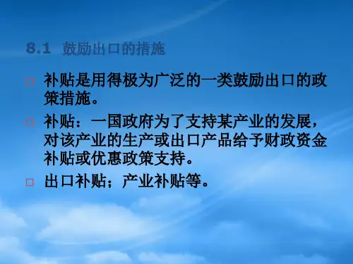 08第八章出口管理政策及其他08ppt讲稿