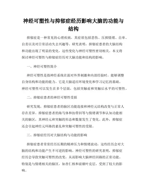神经可塑性与抑郁症经历影响大脑的功能与结构