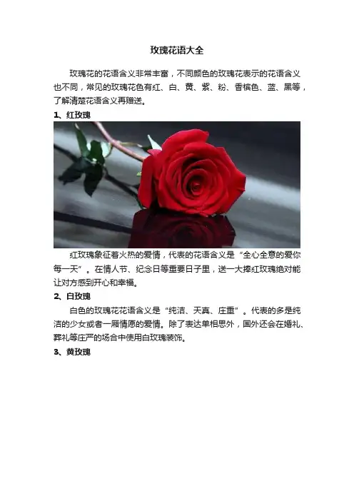 玫瑰花语大全