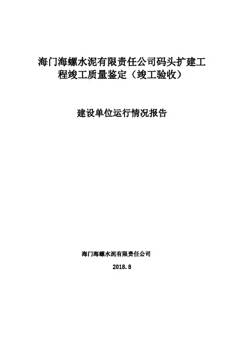 建设单位项目运行情况报告
