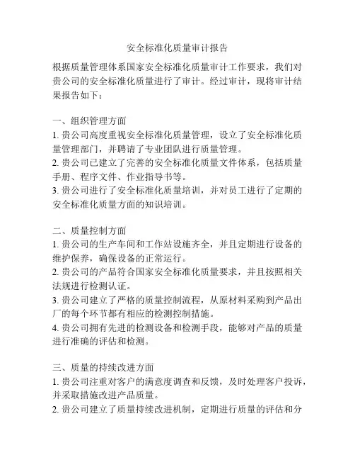 安全标准化质量审计报告