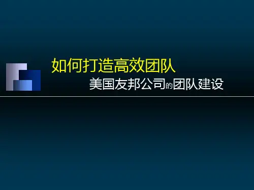 第一组案例 友邦团队建设