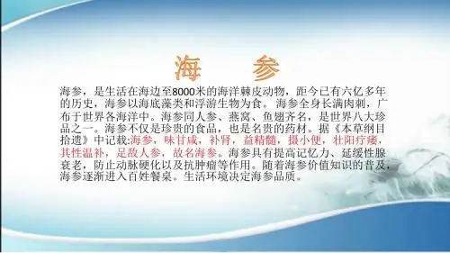 冻干海参