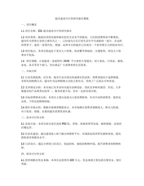 超市建设可行性研究报告模板
