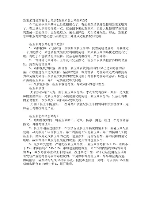 新玉米对蛋鸡有什么危害-新玉米怎么喂蛋鸡好-